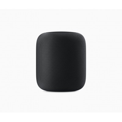 Apple HomePod Space Gray (MQHW2) SWAP
