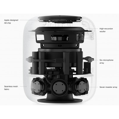 Apple HomePod Space Gray (MQHW2) SWAP