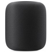 Apple HomePod Space Gray (MQHW2) SWAP