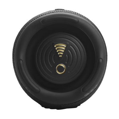 Портативная колонка JBL Charge 5 Wi-Fi – Black (JBLCHARGE5WIFIBLK)