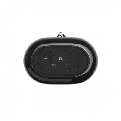 JBL Tuner XL (JBLTUNERXLBLKEU)