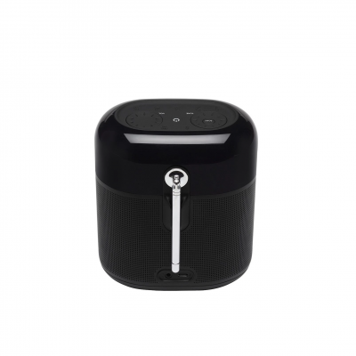 JBL Tuner XL (JBLTUNERXLBLKEU)